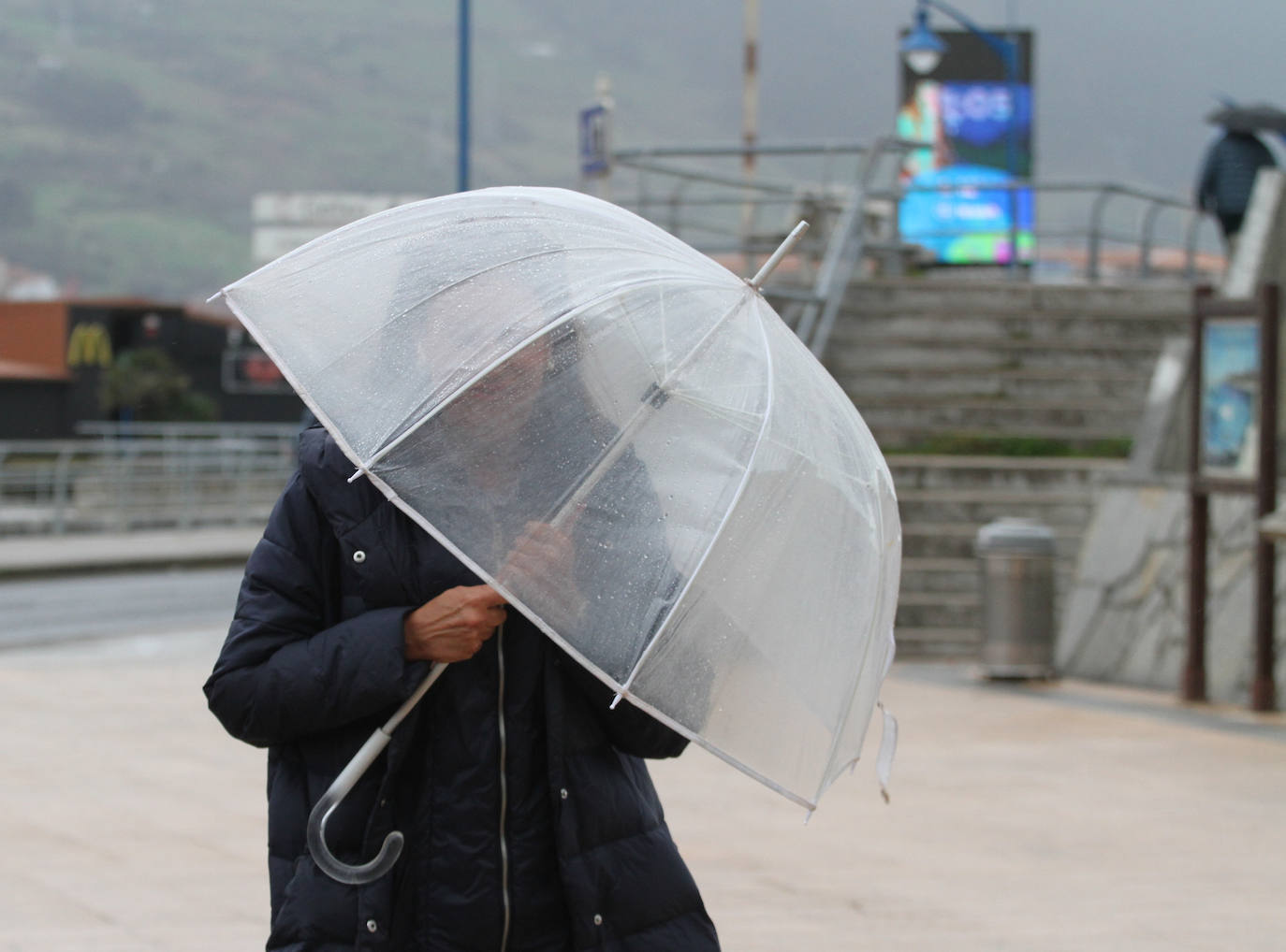 Los pocos valientes que salieron al paseo de Ereaga (Getxo) para dar un paseo sufrieron los fuertes vientos del temporal.