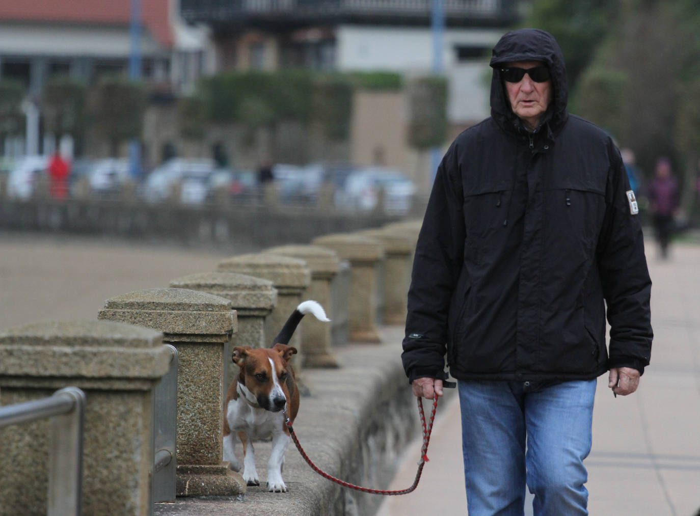 Los pocos valientes que salieron al paseo de Ereaga (Getxo) para dar un paseo sufrieron los fuertes vientos del temporal.