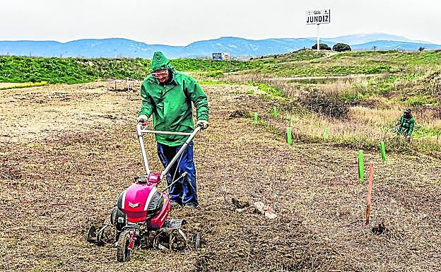 Trabajos iniciales en las parcelas que se van a recuperar.