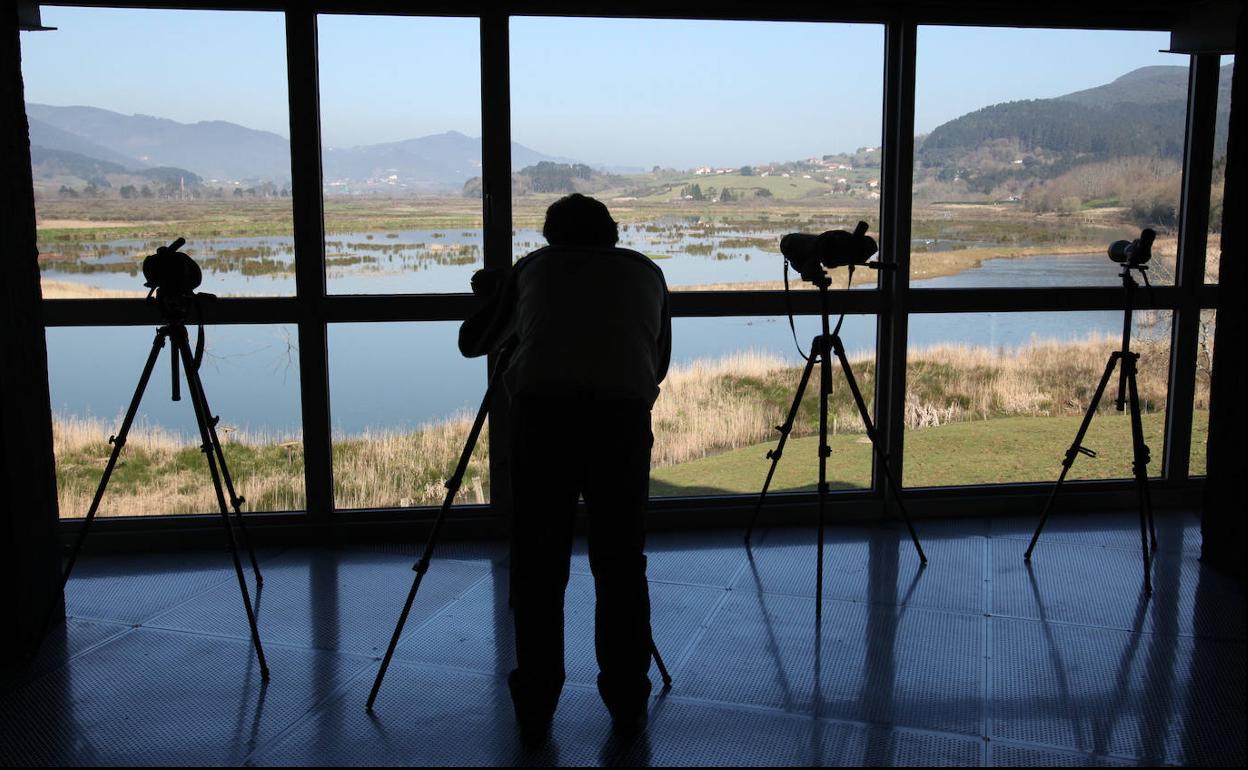 Urdaibaiko paduretako hegaztiak etxe barrutik ikusiko dira.