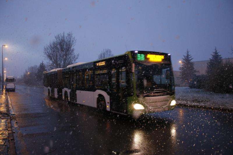 Fotos: Nieve en la Vitoria confinada