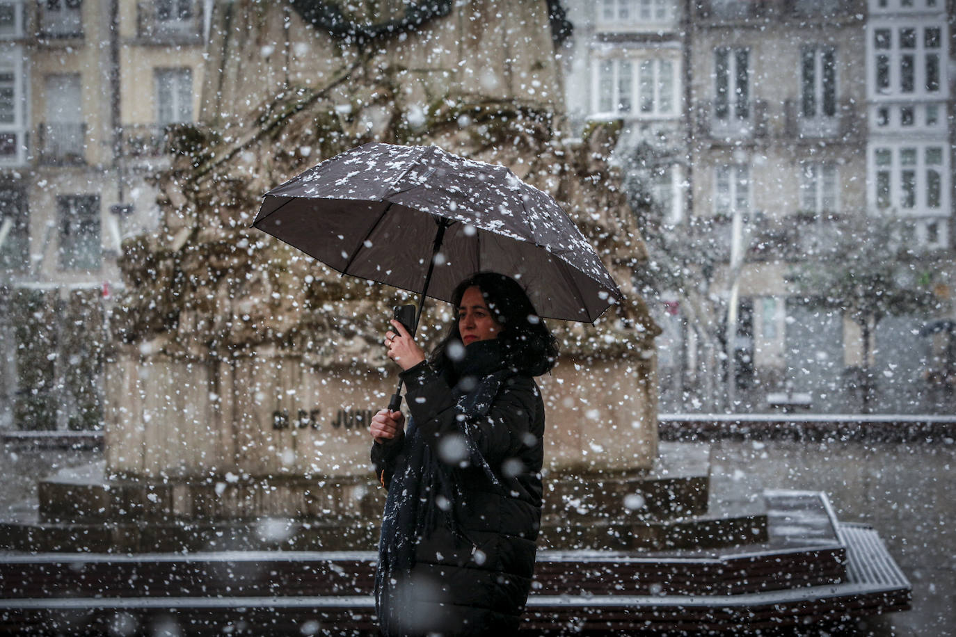 Fotos: Nieve en la Vitoria confinada