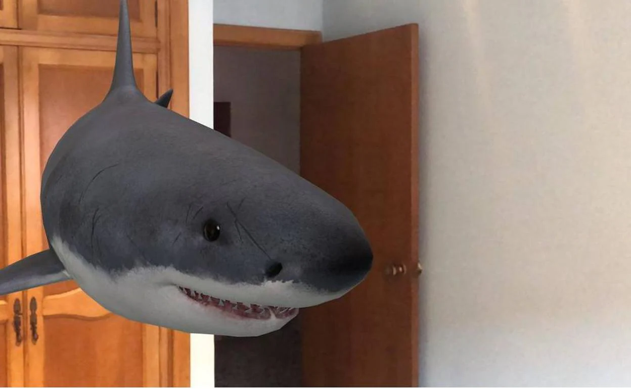 Tiburón 3D de Google