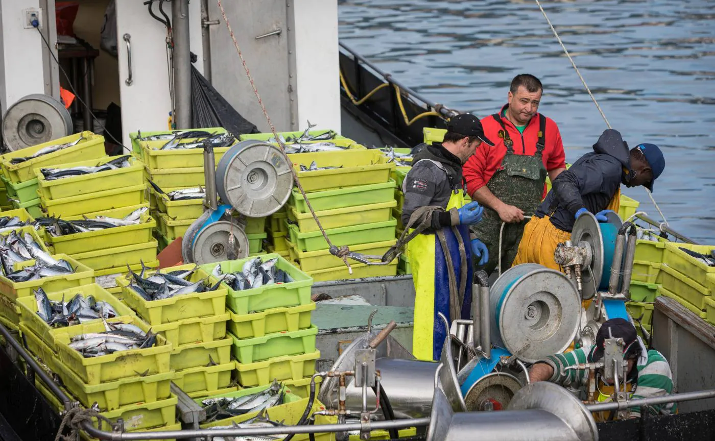 Fotos: La flota artesanal de Bermeo descarga 87 toneladas de verdel