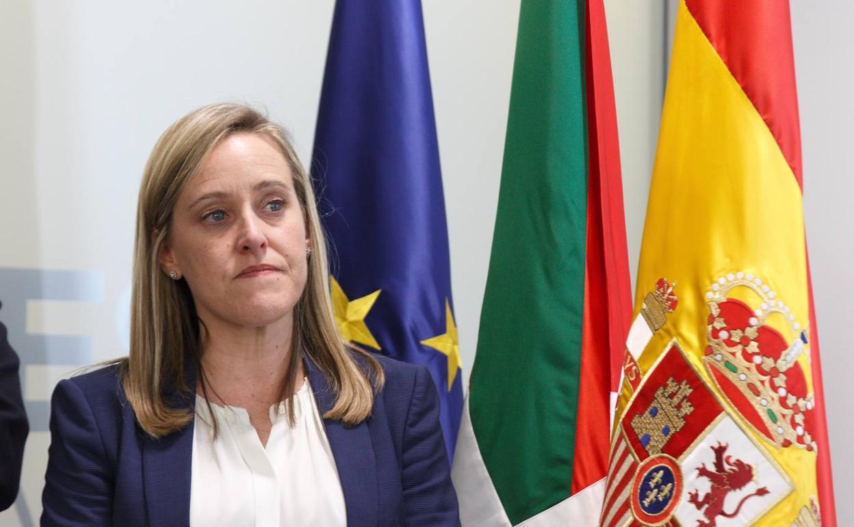 La portavoz popular en las Juntas Generales, Amaya Fernández.