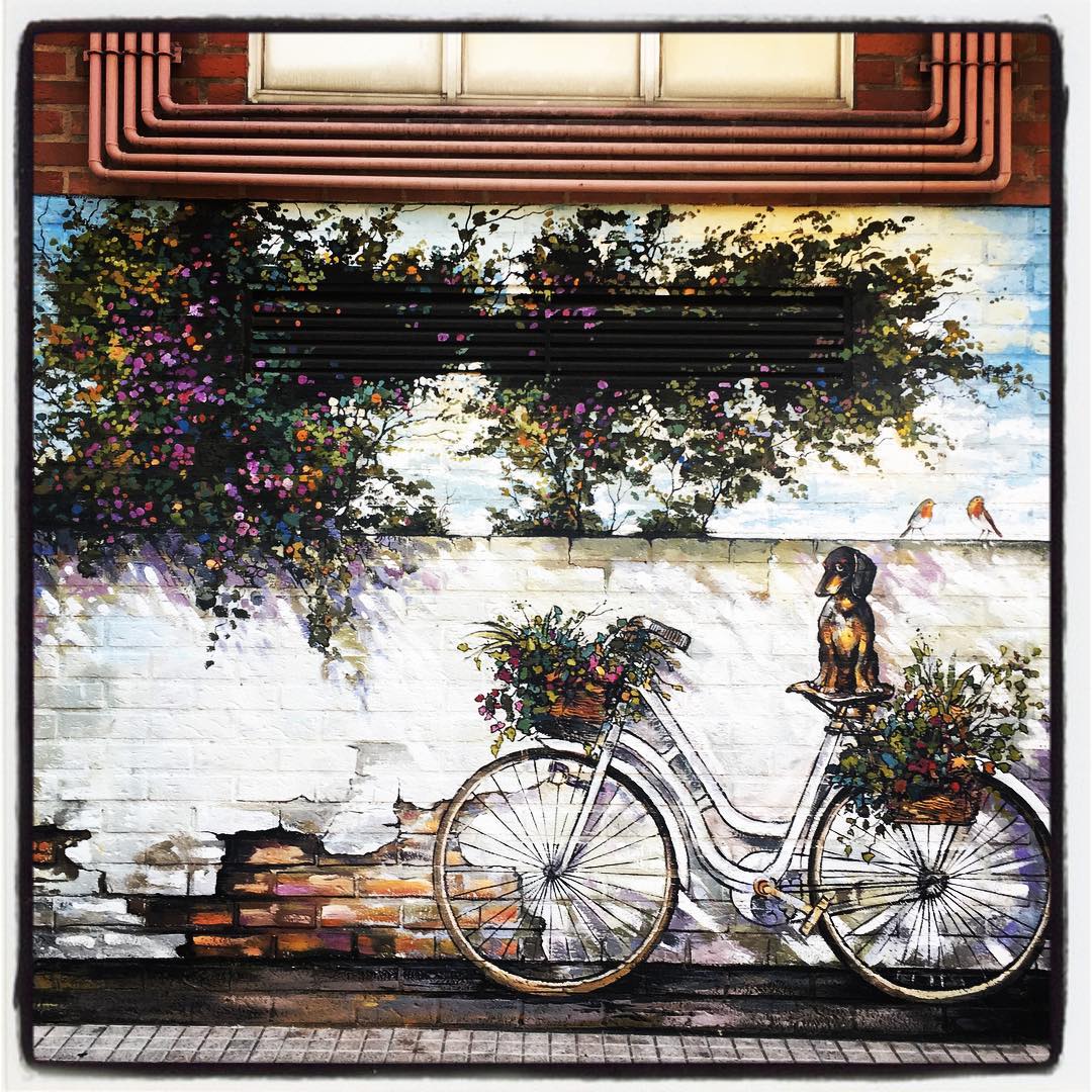 El muralista Pakiyo pintó este precioso mural junto a un negocio de flores y plantas situado en la calle Logroño. No falta ni un detalle.