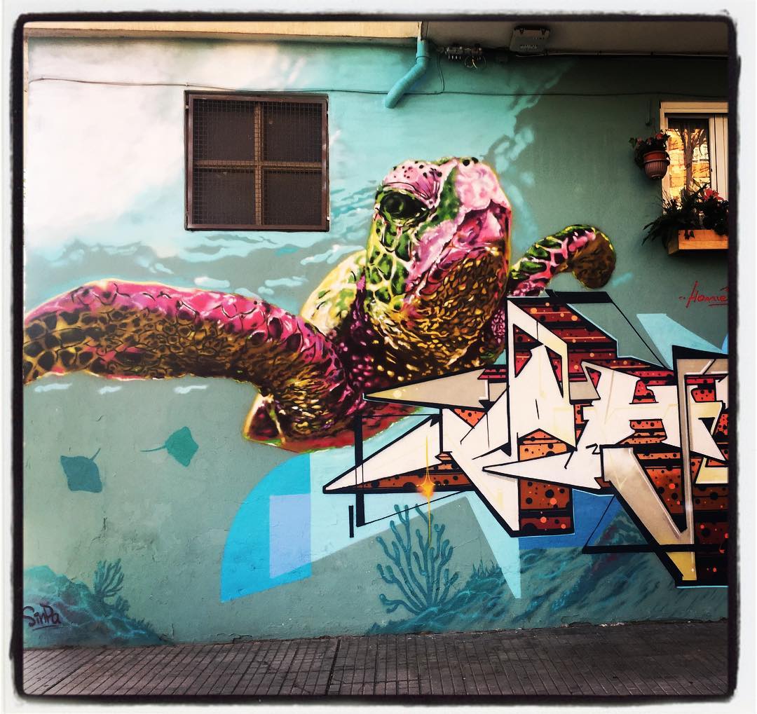 En la calle Zumabide surca las aguas esta suerte de galápago, un reptil de vida acuática muy parecido a la tortuga.