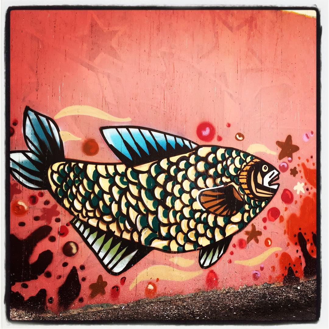 Los peces también surcan las paredes de la capital alavesa. Este colorido y gigantesco ejemplar se puede ver en uno de los laterales del polideportivo situado en el patio del colegio público Ángel Ganivet, en el barrio de Santa Lucía.