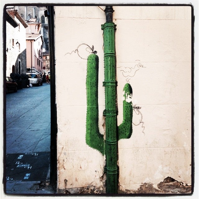 Las muestras de arte urbano se encuentran en los lugares más insospechados. Eso ocurre con este cactus que ha brotado de la pared en el Casco Medieval de Vitoria.