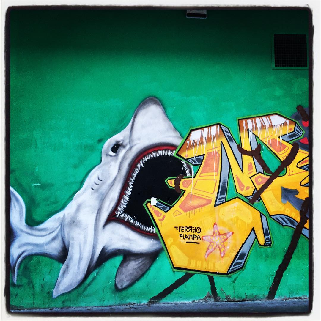 Aunque el mar Cantábrico queda un poco lejos de la capital alavesa, en las paredes de Vitoria es posible ver a esta suerte de tiburón blanco al que, sin duda, le gustan más las aguas cálidas y templadas de casi todos los océanos. Este ejemplar puede apreciarse en los bajos de una fachada del barrio de San Cristóbal, muy cerca de las vías del tren.