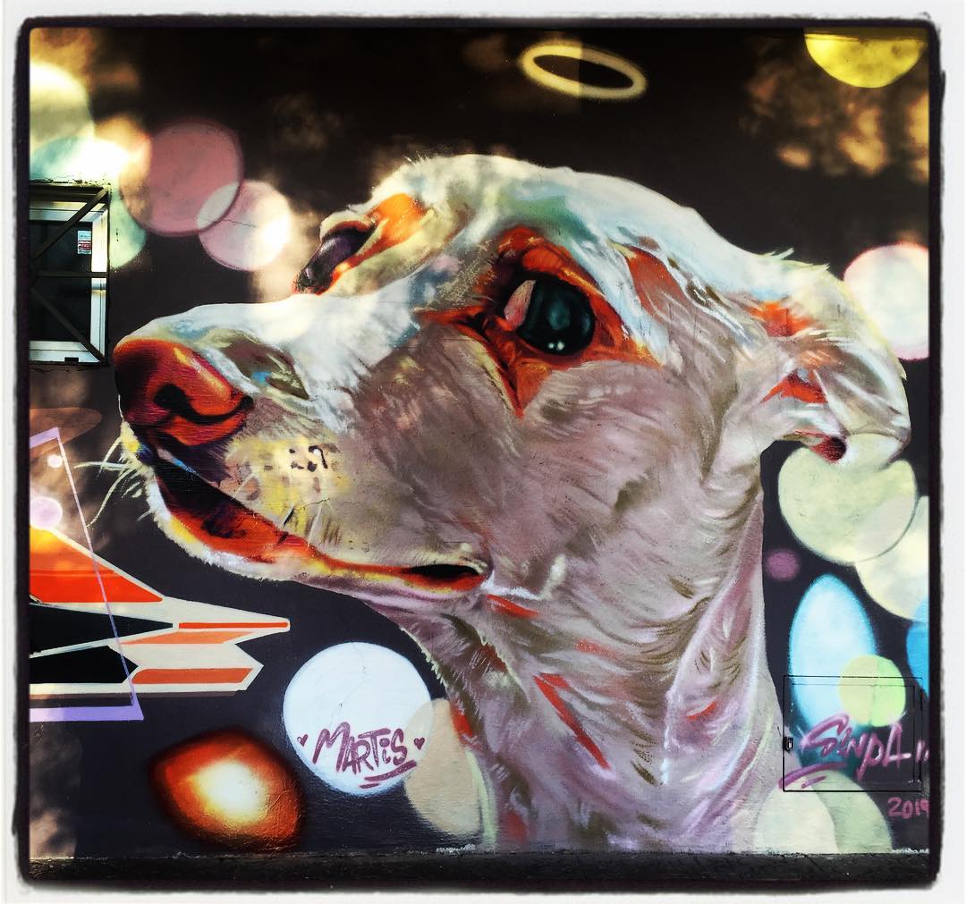 Uno de los miembros más frecuentes en la fauna artística de Vitoria es el perro. Los hay de todas las razas, tamaños y colores. A este lo podemos ver en el barrio de San Cristóbal.