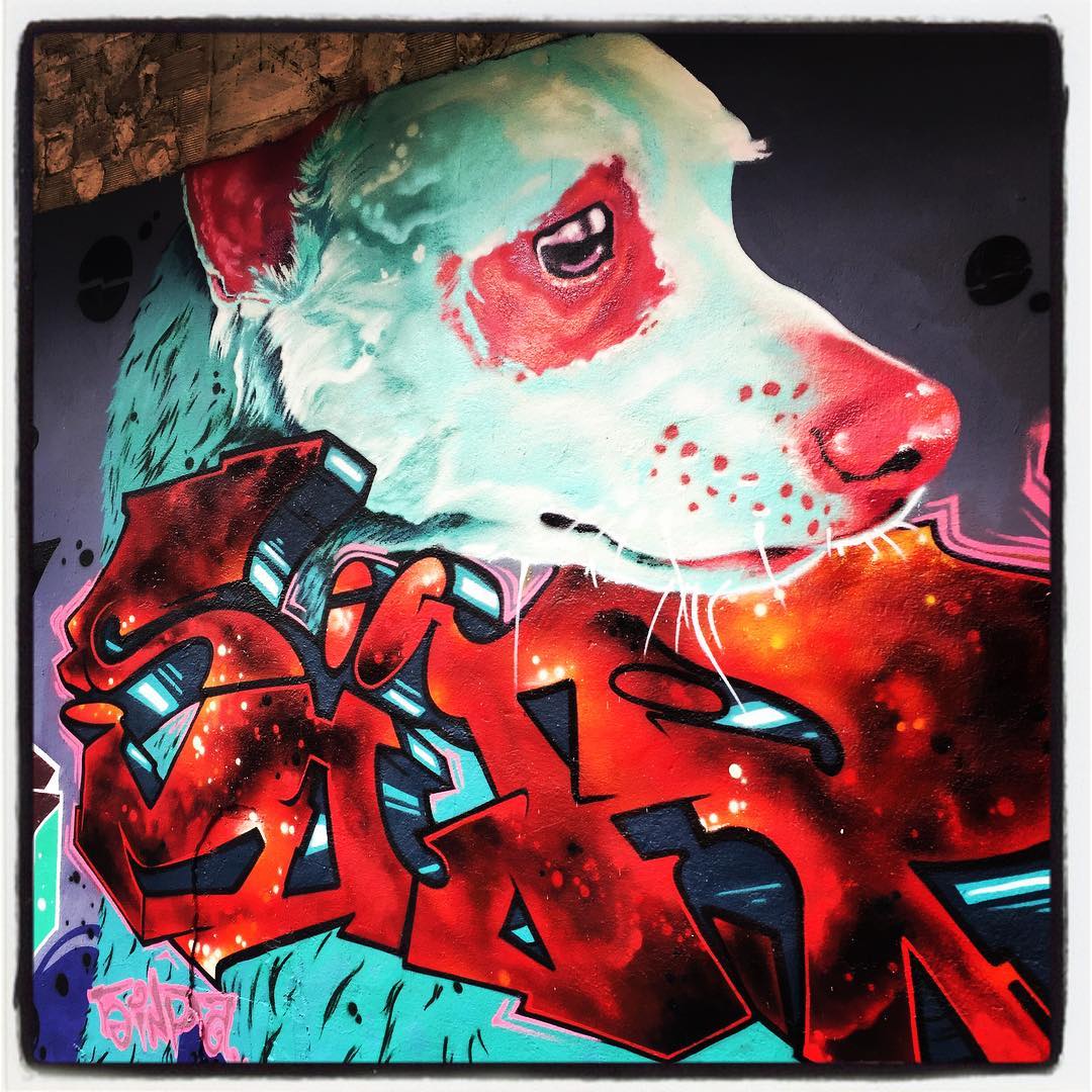 Uno de los miembros más frecuentes en la fauna artística de Vitoria es el perro. Los hay de todas las razas, tamaños y colores.