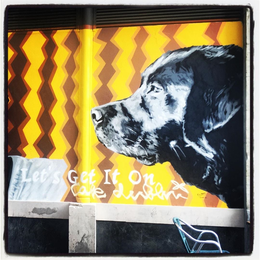 Este impresionante perro luce desde hace unos meses sobre la fachada lateral del popular Café Dublín, en la calle Herrería. Es solo la mitad de una llamativa y colorista composición que capta la atención de todo aquel que camine por esa zona de la almendra medieval.