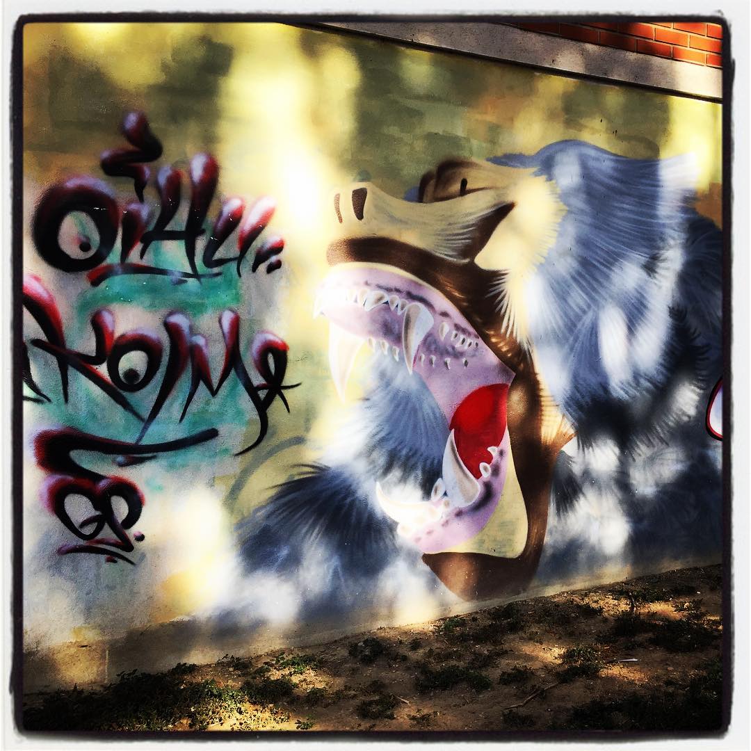 Esta salvaje criatura ruge con todas sus fuerzas desde la parte baja de un edificio de viviendas situado en la calle Vicente Aleixandre, junto al colegio Ángel Ganivet, en el barrio de Santa Lucía.