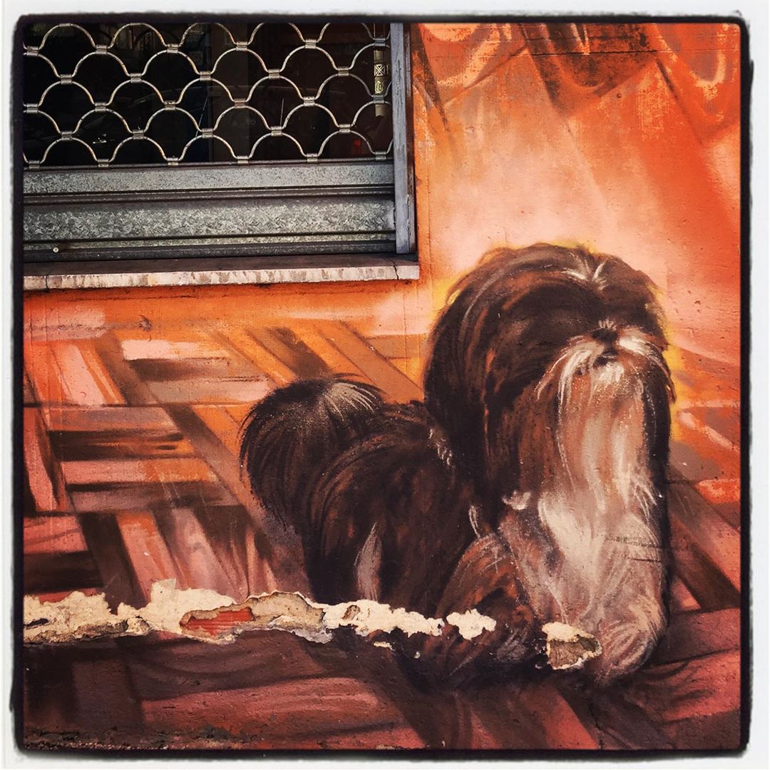 En la fachada de este negocio situado en la calle León, en el barrio de Arana, luce este simpático perro.