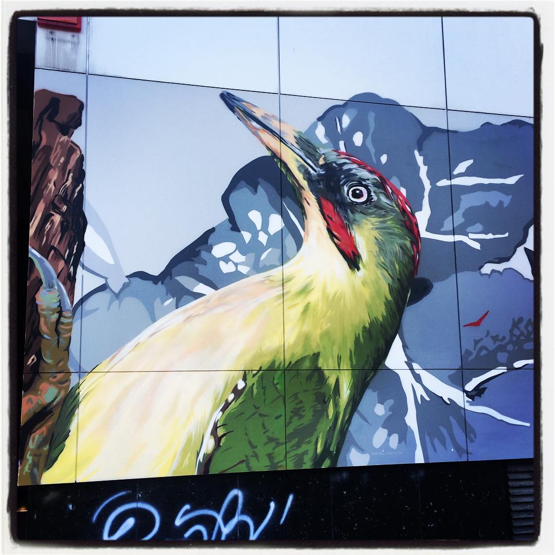 Si hablamos de arte en la calle donde la flora y la fauna sean protagonistas, sin duda, tenemos que hacer referencia al espectacular mural que decora parte de la fachada del centro comercial del barrio de Ariznabarra. Esta alegría para los ojos lleva la firma de la artista Eva Mena. Es toda una muestra de biodiversidad. ¡No se lo pierdan! Es simplemente espectacular.