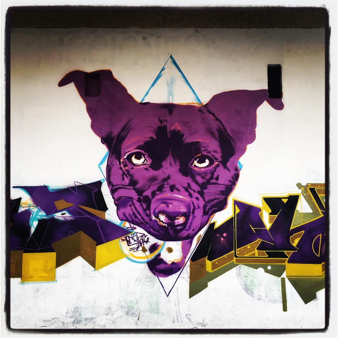 Sí, hay algo más raro que un perro verde; uno de color morado. Este nos mira fijamente desde una pared del barrio de San Cristóbal.