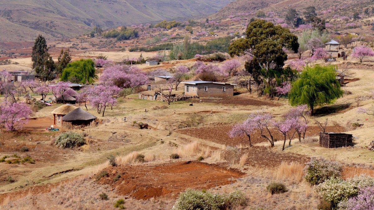 Lesoto | Un reino sin litoral a gran altura rodeado por Sudáfrica. Lesoto está entrecruzado por una red de ríos y cadenas montañosas que incluyen la cima a 3,482 m de altura de Thabana Ntlenyana. En la meseta de Thaba Bosiu, cerca de la capital de Lesoto, Maseru, se encuentran ruinas que datan del reino de Moshoeshoe I del siglo XIX. 