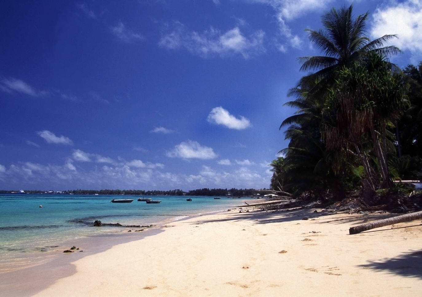 Tuvalu | Uno de los cuatro países que forman la Polinesia, o uno de los catorce que conforman Oceanía. Su capital es Funafuti. Los países más cercanos a Tuvalu son Kiribati, Samoa y Fiyi. 