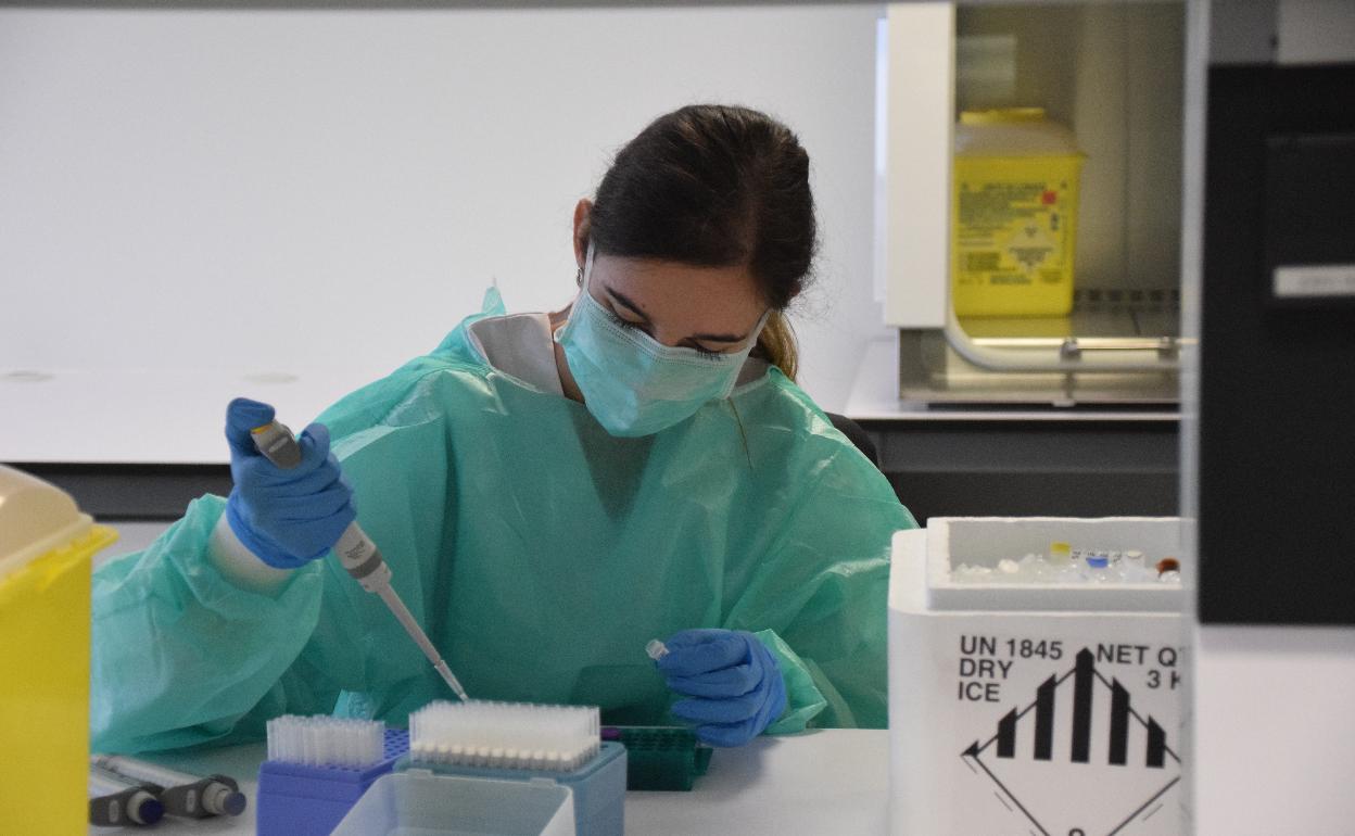 Una científica trabaja en el desarrollo del nuevo test en un laboratorio de la UPV. 