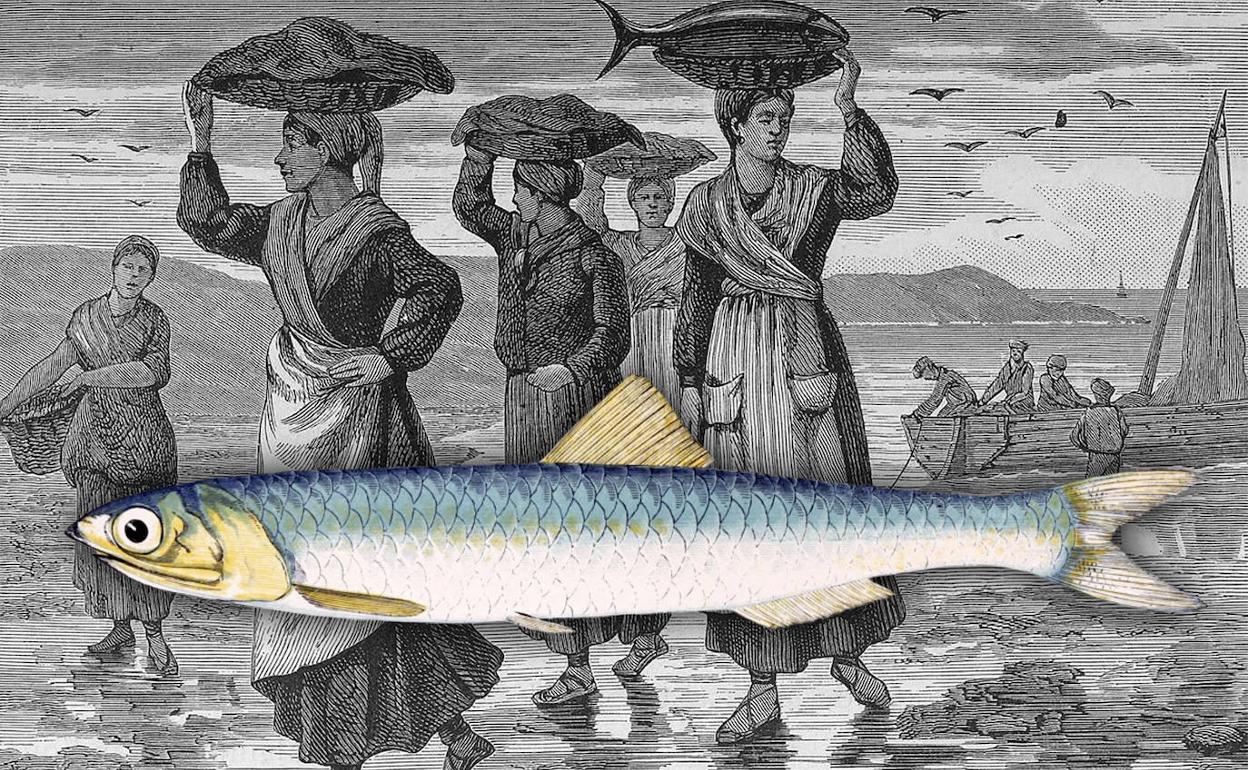 endedoras vascas de pescado en 'El oasis, viaje al país de los fueros' (1878) y grabado de anchoa, CC PD.