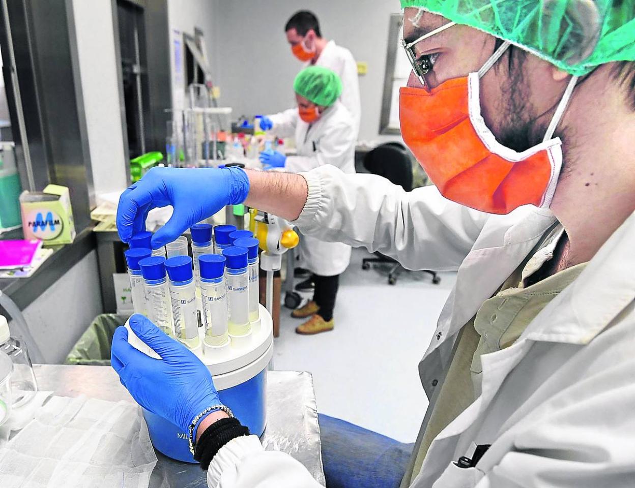 Empleadas de laboratorio manejan pruebas de diagnóstico de Covid-19.