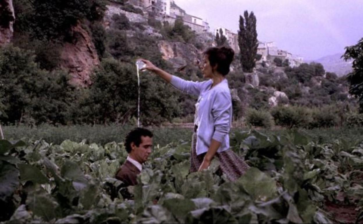 Amanece que no es poco