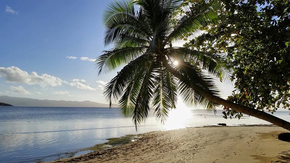 Con sus aguas cristalinas, Fiji y sus 333 islas albergan una de las mayores reservas de animales marinos del mundo. Con largas playas de arena blanca y palmeras, están a más de 17.600 kilómetros. Un destino donde olvidarse de todo.