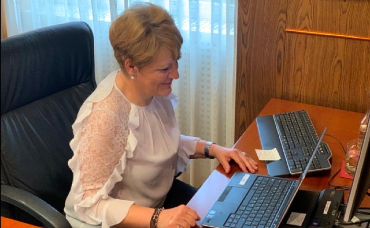 La diputada Ana del Val, durante su intervención telemática ante las Juntas Generales.