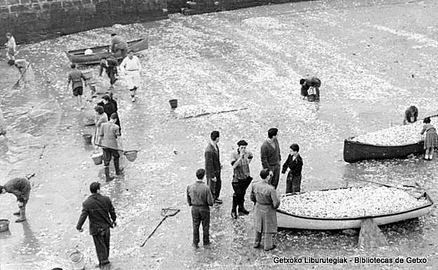 La arena cubierta de anchoas, 16 de noviembre de 1957. 