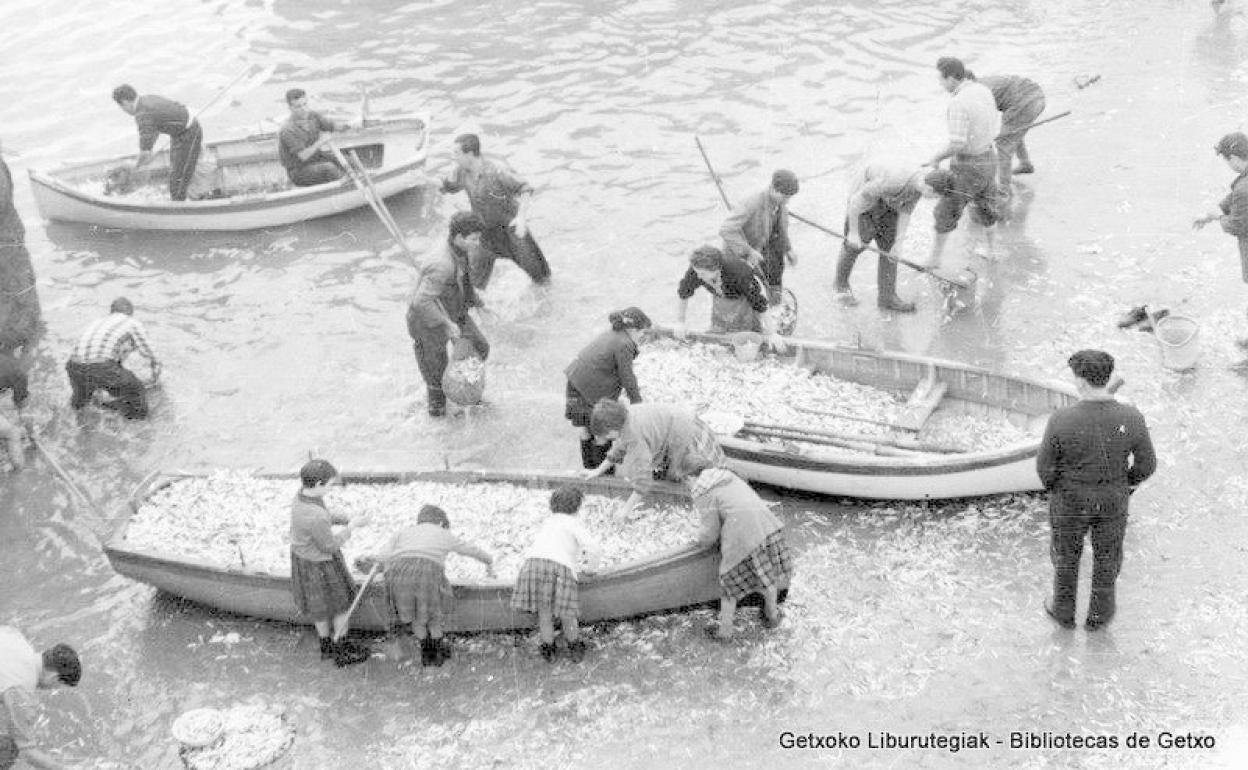 Vecinos de Getxo recogiendo anchoas en la playa, noviembre de 1957. 