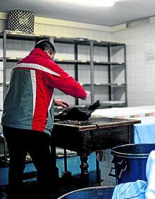 Imagen secundaria 2 - El equipo asistencial se toma un descanso. El servicio de lavandería y una paciente a cargo de la recepción.