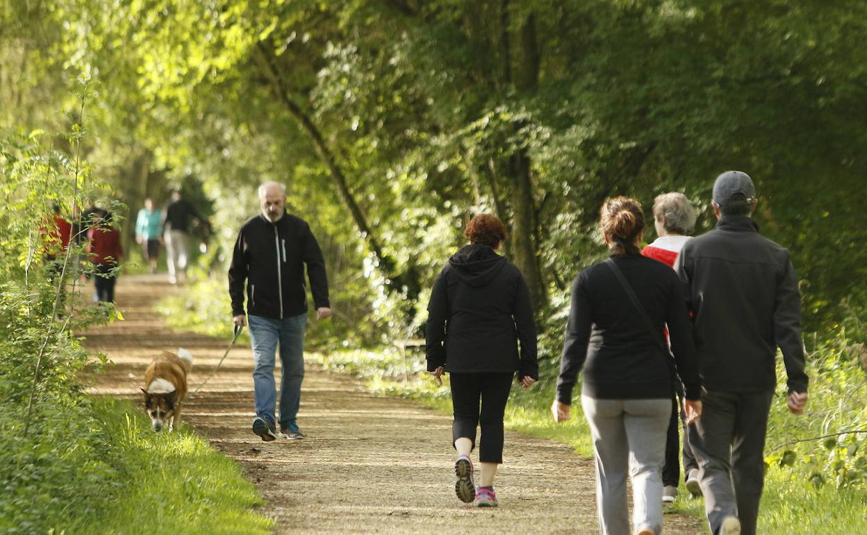 Vitorianos por los humedales de Salburua. 