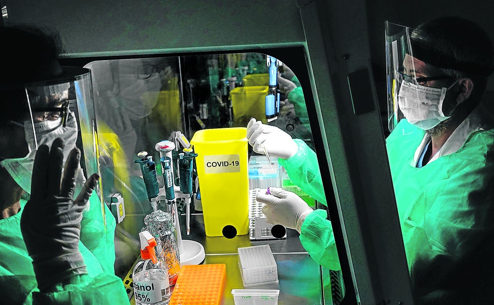 Joaquín Castilla empieza a preparar las muestras en una cabina de flujo laminar, ante Ana María Aransay.