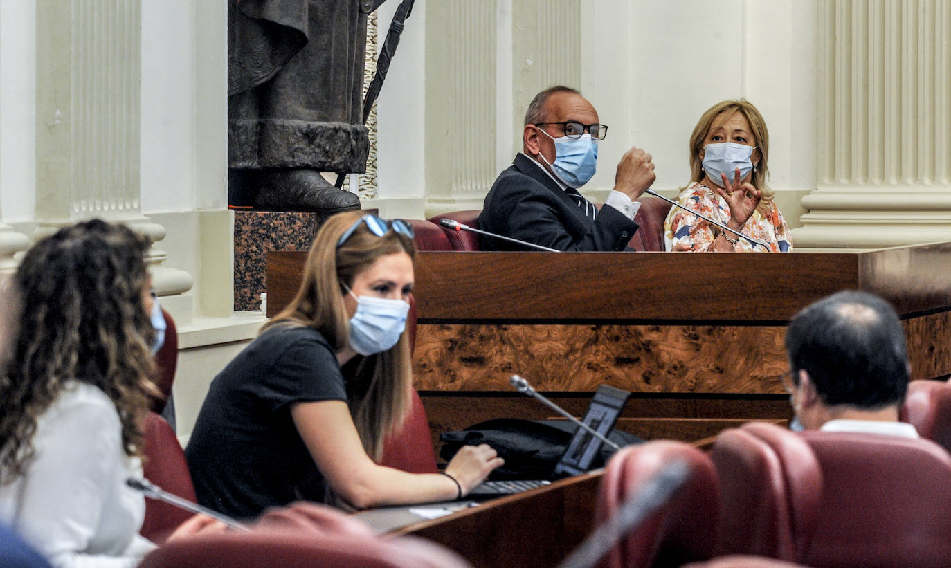 La sesión ha contado con sólo una parte de los junteros para mantener las distancias de seguridad. 