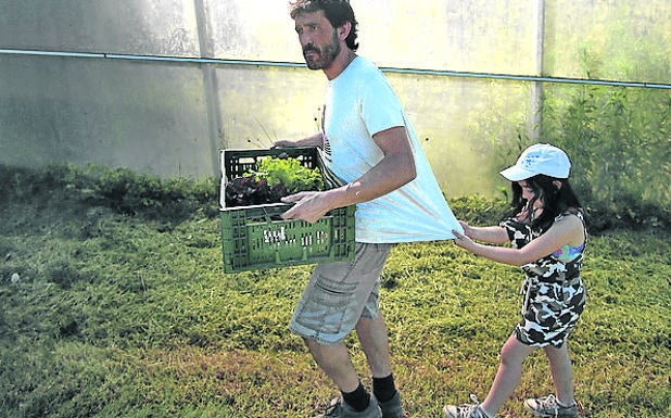 Tras las lluvias, estos días de calor sirven a Borja para plantar nuevas especies.