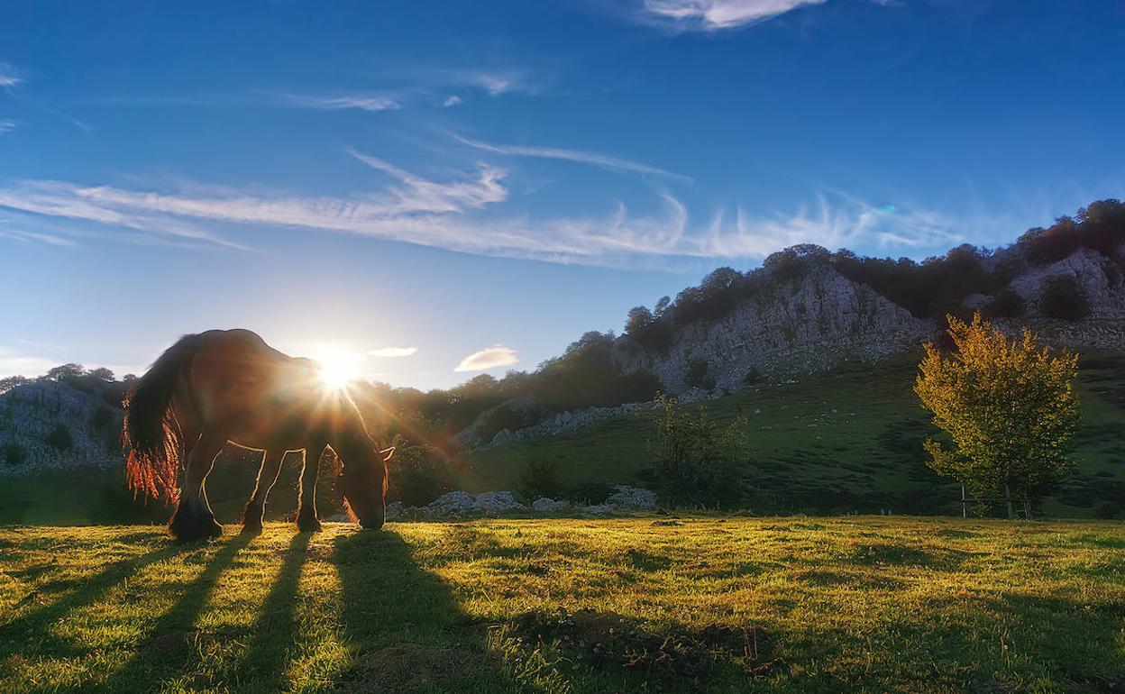 Zaldi bat, Gorbeian.