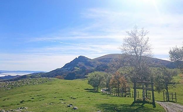 Campas de Pagomakurre. 