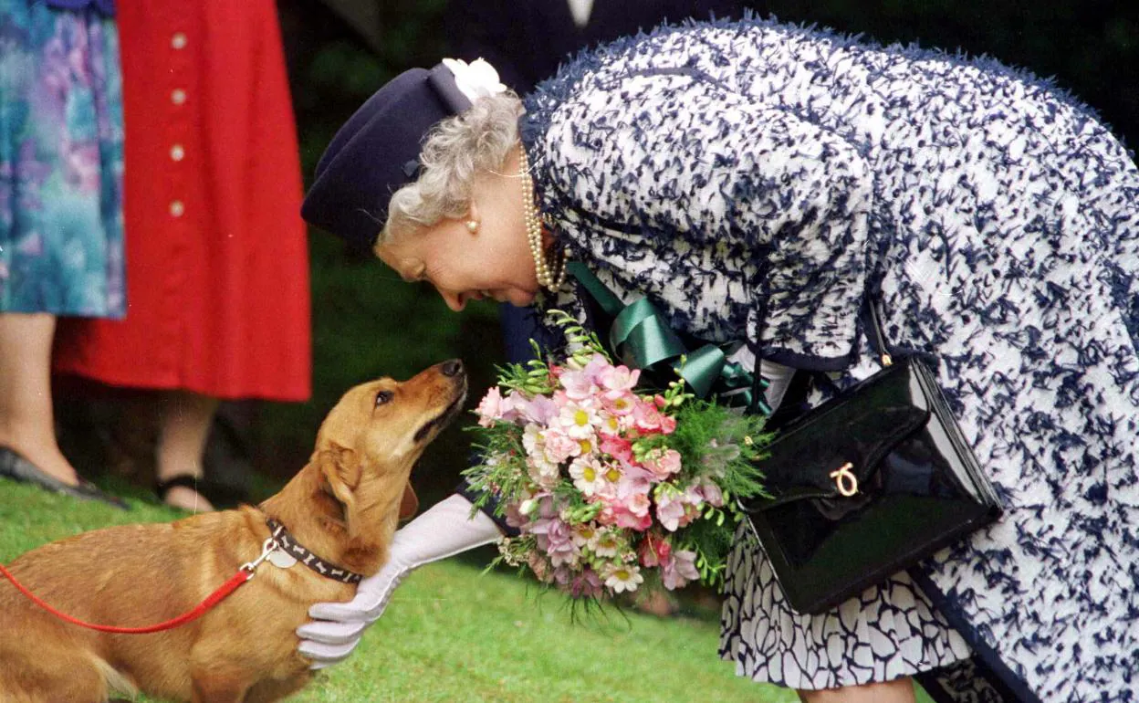 que raza de perro tiene la reina de inglaterra