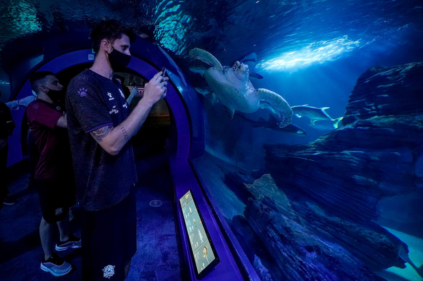 Fotos: El Baskonia visita el Oceanogràfic de Valencia