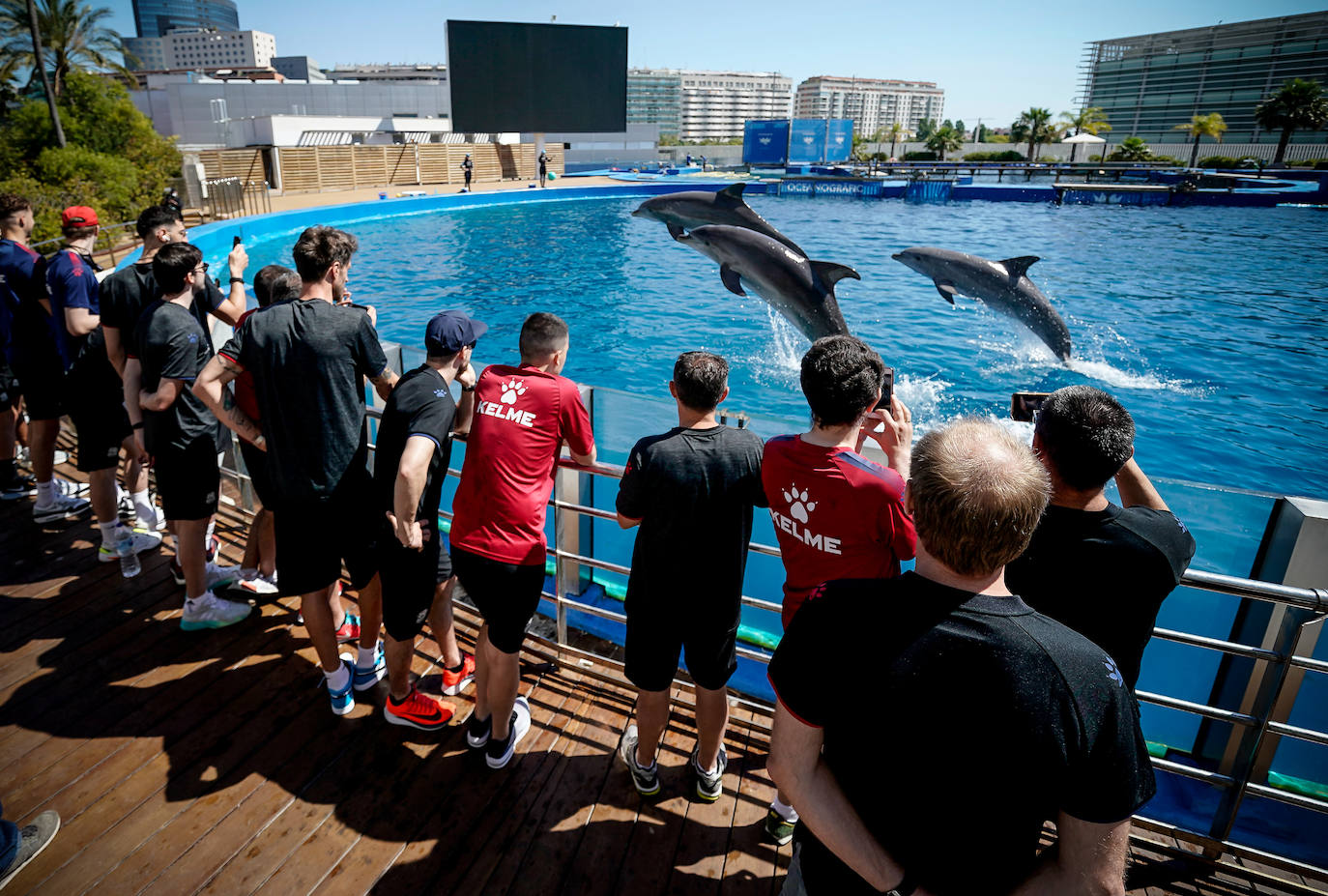 Fotos: El Baskonia visita el Oceanogràfic de Valencia