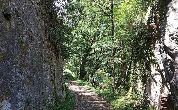 Cañón del río Ega