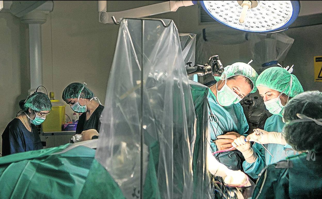 Operación quirúrgica en el hospital de Cruces. 