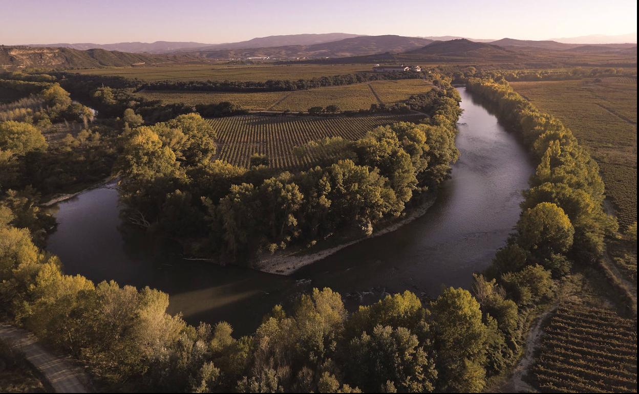 Vista de Finca Valpiedra en el meandro del Ebro.