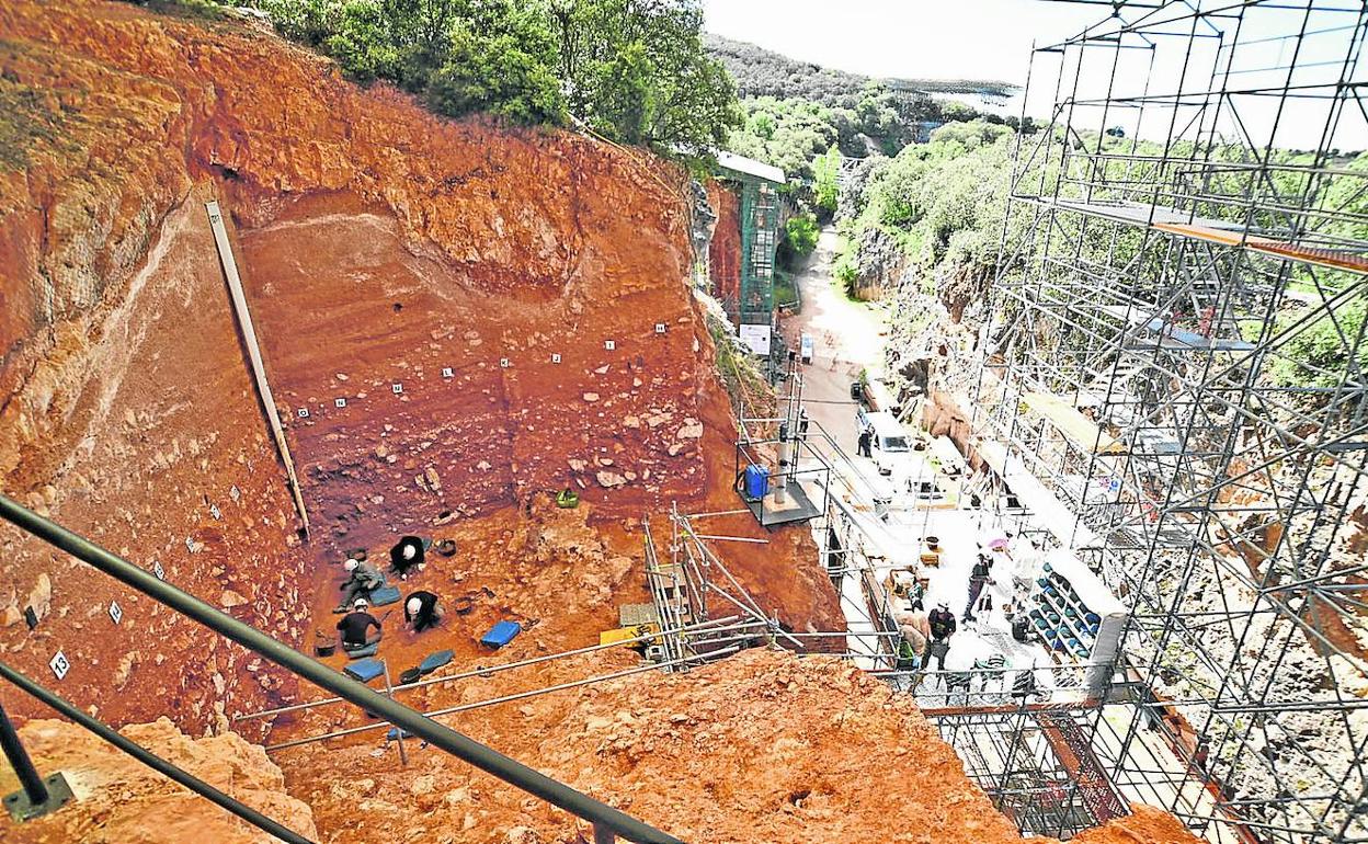 Vista de Gran Dolina, el yacimiento donde apareció 'Homo antecessor', con la Trinchera del Ferrocarril y los nuevos andamios a la derecha.
