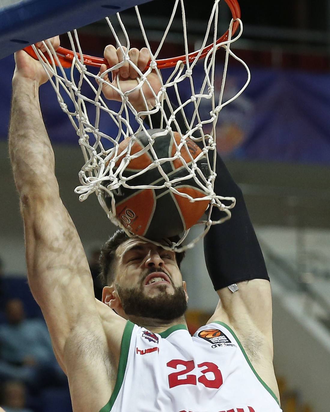 Fotos: La trayectoria de Shengelia en el Baskonia, en imágenes