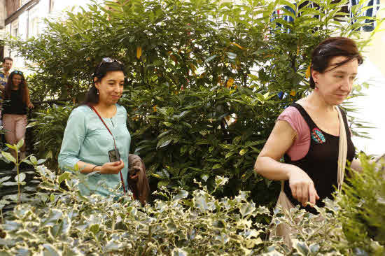 Visitas de años anteriores a los caños medievales del Casco Viejo. 