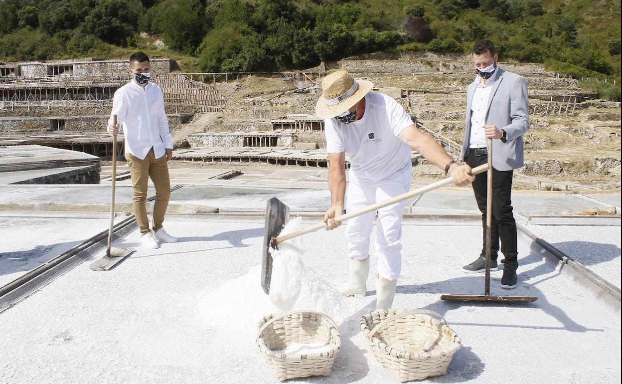 Jon Gil y Luis Hernani junto a Edorta Loma en el inicio de la cosecha. 