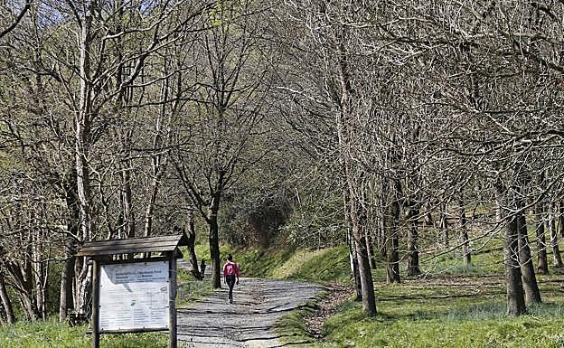 Senderos de Malmasín.