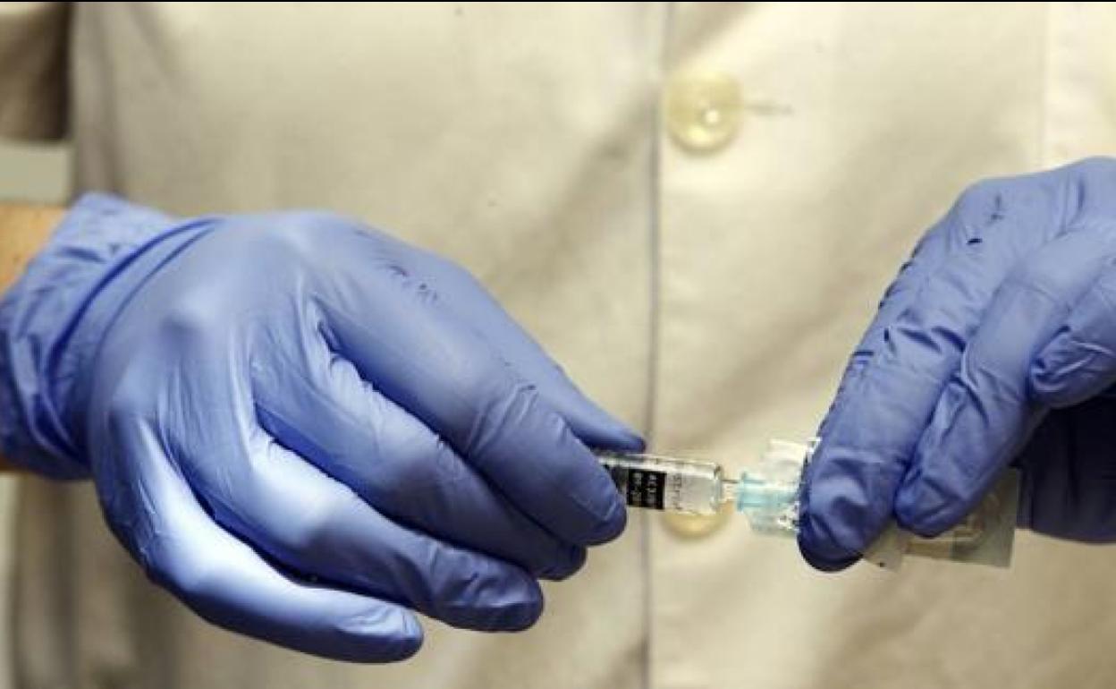 La vacuna desarrollada por Oxford genera anticuerpos y es «segura»